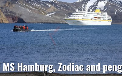 MS Hamburg, Zodiac and penguin, Whalers Bay, Deception Island 07.01.2017