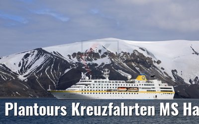 Plantours Kreuzfahrten MS Hamburg, Whalers Bay, Antarctica 07.01.2017