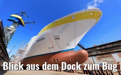 Blick aus dem Dock zum Bug MS Hamburg 17.05.2020