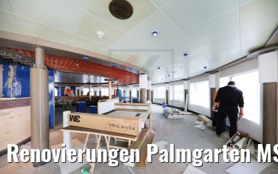 Renovierungen Palmgarten MS Hamburg 17.05.2020