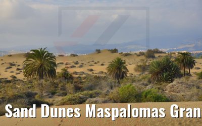 Sand Dunes Maspalomas Gran Canaria 24.11.2022