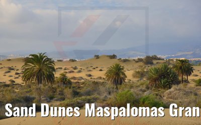 Sand Dunes Maspalomas Gran Canaria 24.11.2022