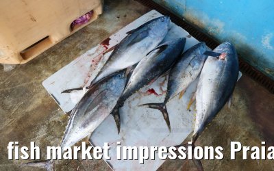 fish market impressions Praia 01.12.2022