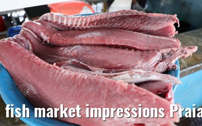 fish market impressions Praia 01.12.2022