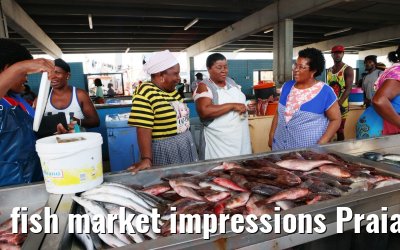 fish market impressions Praia 01.12.2022