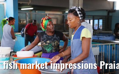 fish market impressions Praia 01.12.2022