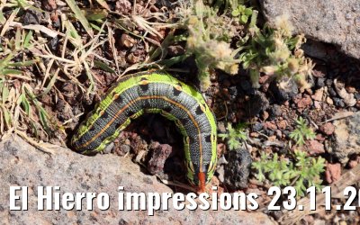 El Hierro impressions 23.11.2022