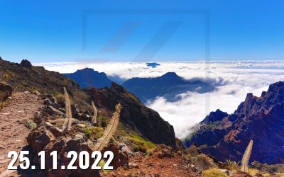 25.11.2022