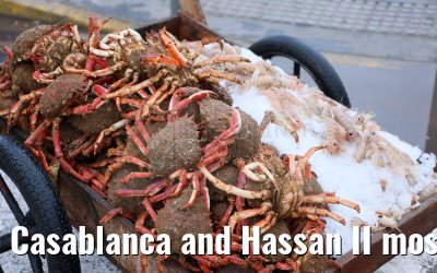 Casablanca and Hassan II mosque 28.02.2025