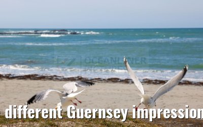 different Guernsey impressions 15.04.2023