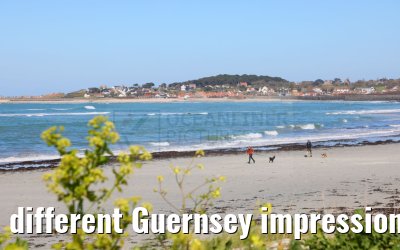 different Guernsey impressions 15.04.2023