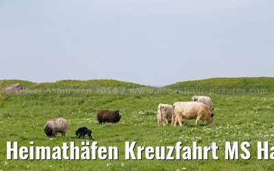 Heimathäfen Kreuzfahrt MS Hamburg nach Emden, Sylt und Helgoland vom 23.-27. Mai 2014