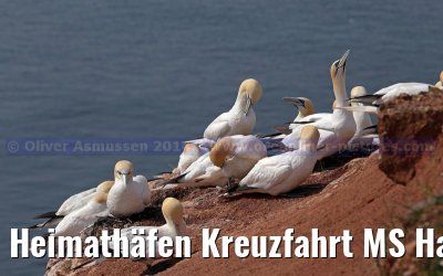 Heimathäfen Kreuzfahrt MS Hamburg nach Emden, Sylt und Helgoland vom 23.-27. Mai 2014