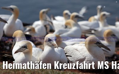 Heimathäfen Kreuzfahrt MS Hamburg nach Emden, Sylt und Helgoland vom 23.-27. Mai 2014