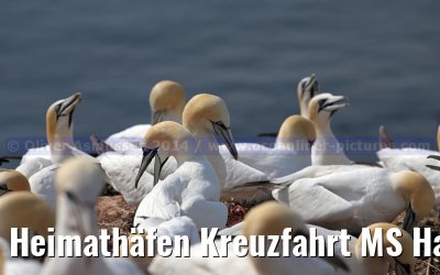 Heimathäfen Kreuzfahrt MS Hamburg nach Emden, Sylt und Helgoland vom 23.-27. Mai 2014