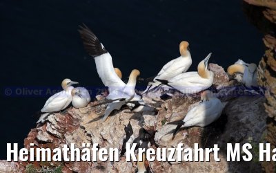 Heimathäfen Kreuzfahrt MS Hamburg nach Emden, Sylt und Helgoland vom 23.-27. Mai 2014