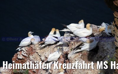 Heimathäfen Kreuzfahrt MS Hamburg nach Emden, Sylt und Helgoland vom 23.-27. Mai 2014