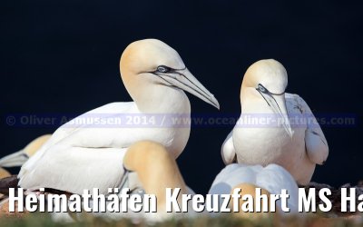 Heimathäfen Kreuzfahrt MS Hamburg nach Emden, Sylt und Helgoland vom 23.-27. Mai 2014
