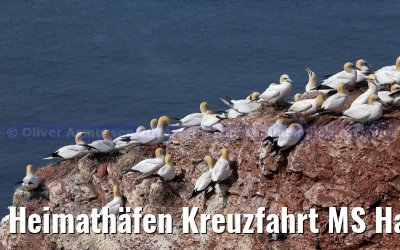 Heimathäfen Kreuzfahrt MS Hamburg nach Emden, Sylt und Helgoland vom 23.-27. Mai 2014