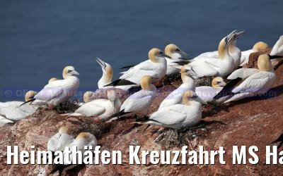 Heimathäfen Kreuzfahrt MS Hamburg nach Emden, Sylt und Helgoland vom 23.-27. Mai 2014