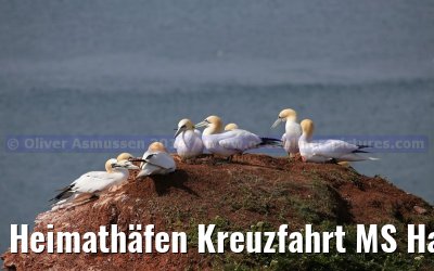 Heimathäfen Kreuzfahrt MS Hamburg nach Emden, Sylt und Helgoland vom 23.-27. Mai 2014