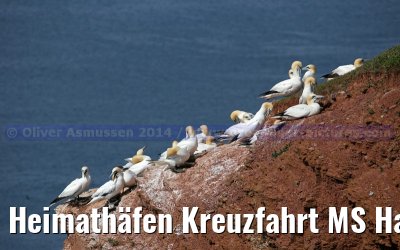 Heimathäfen Kreuzfahrt MS Hamburg nach Emden, Sylt und Helgoland vom 23.-27. Mai 2014