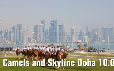 Camels and Skyline Doha 10.03.2024