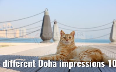 different Doha impressions 10.03.2024