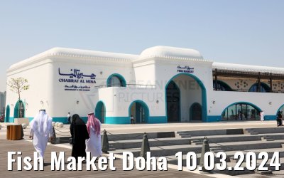 Fish Market Doha 10.03.2024