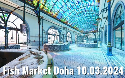 Fish Market Doha 10.03.2024