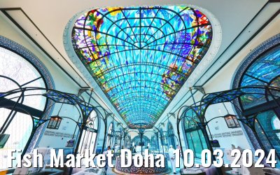 Fish Market Doha 10.03.2024