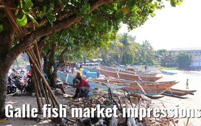 Galle fish market impressions 27.02.2024