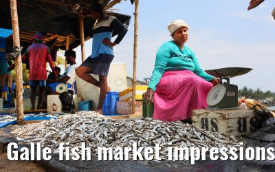 Galle fish market impressions 27.02.2024