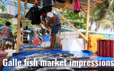 Galle fish market impressions 27.02.2024