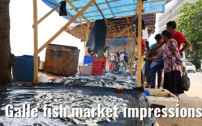Galle fish market impressions 27.02.2024