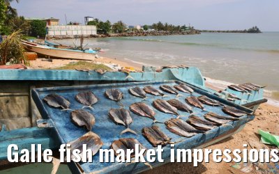 Galle fish market impressions 27.02.2024