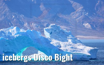 icebergs Disco Bight