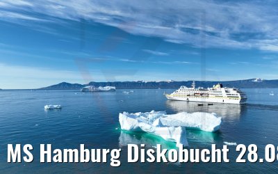MS Hamburg Diskobucht 28.08.2022