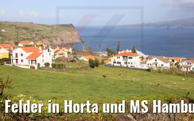 Felder in Horta und MS Hamburg 22.03.2022