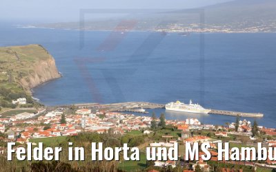 Felder in Horta und MS Hamburg 22.03.2022