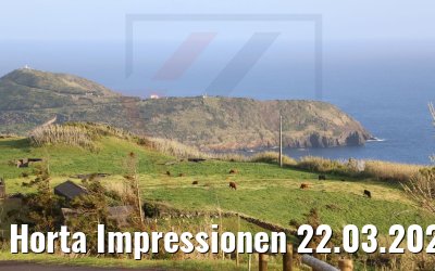 Horta Impressionen 22.03.2022