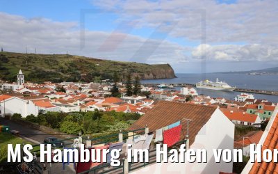 MS Hamburg im Hafen von Horta, Faial 23.03.2022
