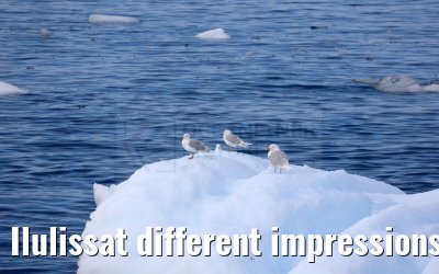 Ilulissat different impressions 16.08.2024