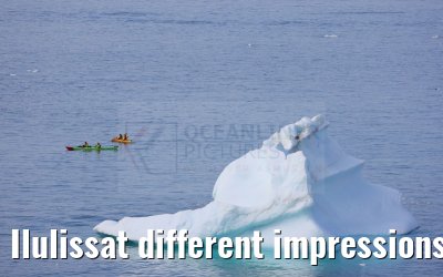 Ilulissat different impressions 16.08.2024