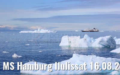 MS Hamburg Ilulissat 16.08.2024