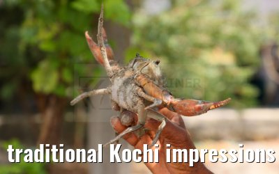 traditional Kochi impressions India 01.03.2024