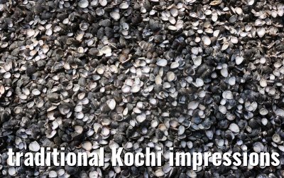 traditional Kochi impressions India 01.03.2024