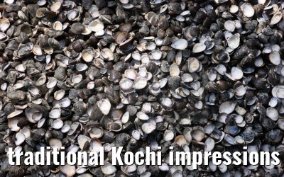 traditional Kochi impressions India 01.03.2024