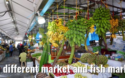different market and fish market impressions, Male, Maldives 25.02.2024