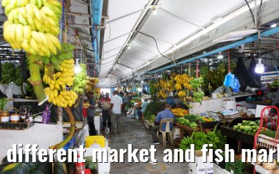 different market and fish market impressions, Male, Maldives 25.02.2024